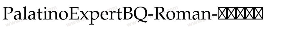 PalatinoExpertBQ-Roman字体转换