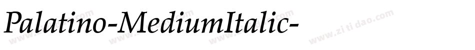 Palatino-MediumItalic字体转换