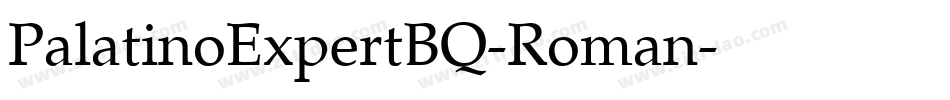 PalatinoExpertBQ-Roman字体转换