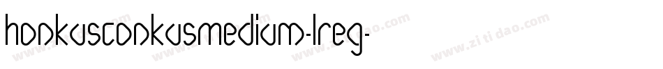 HonkusConkusMedium-LReg字体转换