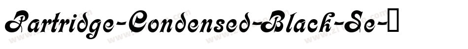 Partridge-Condensed-Black-Se字体转换