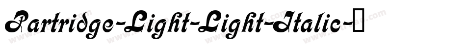 Partridge-Light-Light-Italic字体转换