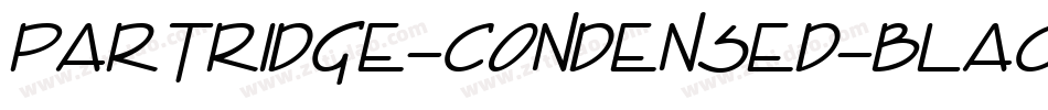 Partridge-Condensed-Black-Se字体转换