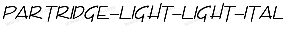 Partridge-Light-Light-Italic字体转换