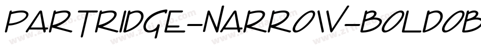Partridge-Narrow-BoldOblique字体转换