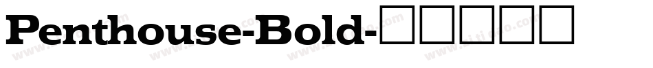 Penthouse-Bold字体转换