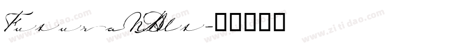 FuturaNDAlt字体转换