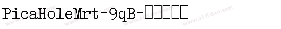 PicaHoleMrt-9qB字体转换