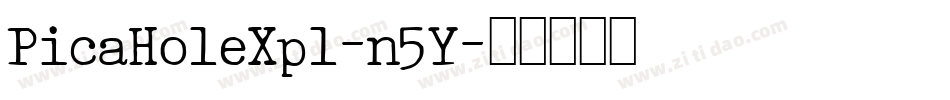 PicaHoleXpl-n5Y字体转换