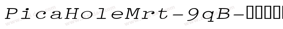PicaHoleMrt-9qB字体转换