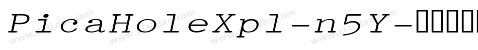 PicaHoleXpl-n5Y字体转换