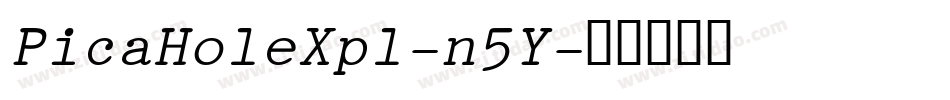 PicaHoleXpl-n5Y字体转换