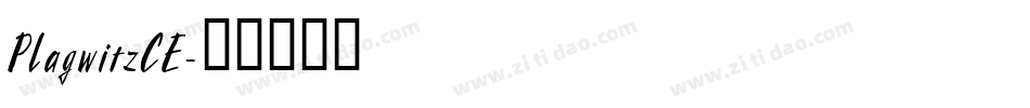 PlagwitzCE字体转换