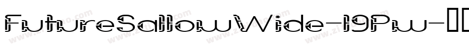 FutureSallowWide-l9Pw字体转换