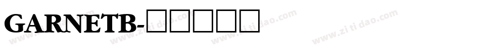 GARNETB字体转换