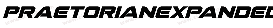 PraetorianExpandedItalic-0eov字体转换