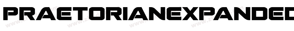 PraetorianExpandedItalic-0eov字体转换