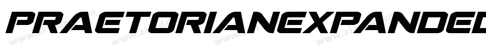 PraetorianExpandedItalic-0eov字体转换