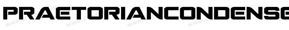 PraetorianCondensedItalic-ozGB字体转换