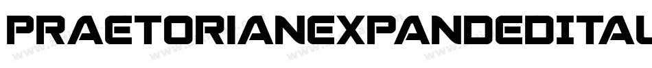 PraetorianExpandedItalic-0eov字体转换