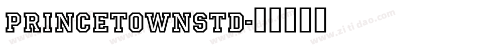 PrincetownStd字体转换