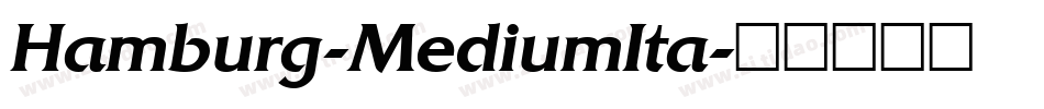 Hamburg-MediumIta字体转换