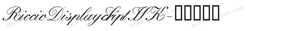 RiccioDisplayScriptSSK字体转换