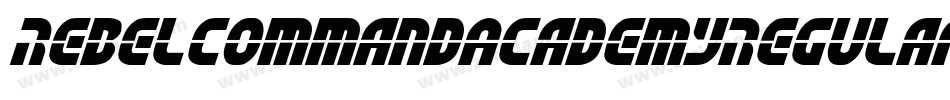 RebelCommandAcademyRegular-ALJwL字体转换