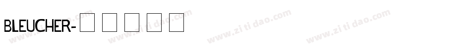 BLEUCHER字体转换