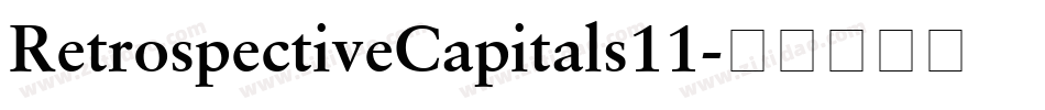 RetrospectiveCapitals11字体转换
