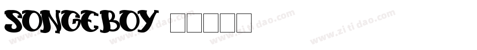 songeboy字体转换