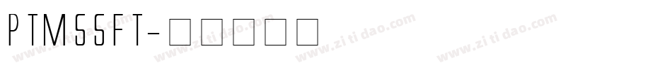 PTM55FT字体转换