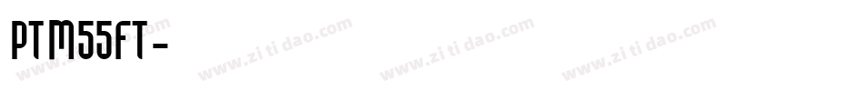 PTM55FT字体转换