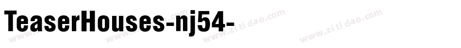 TeaserHouses-nj54字体转换