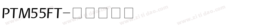 PTM55FT字体转换