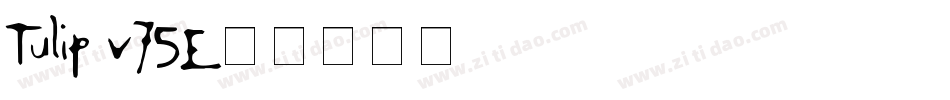 Tulip-v75E字体转换
