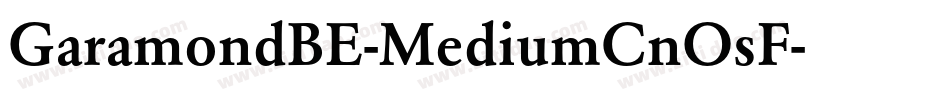 GaramondBE-MediumCnOsF字体转换