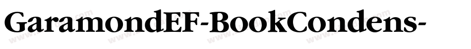GaramondEF-BookCondens字体转换
