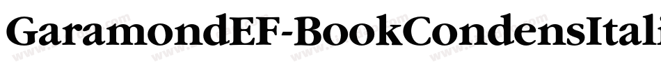 GaramondEF-BookCondensItalic字体转换