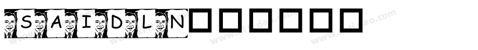 saidln字体转换