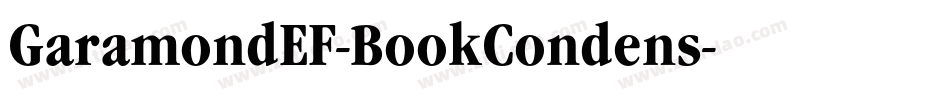 GaramondEF-BookCondens字体转换