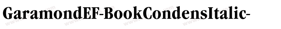 GaramondEF-BookCondensItalic字体转换