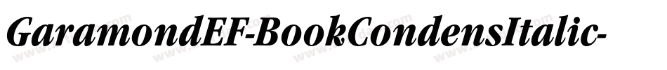 GaramondEF-BookCondensItalic字体转换
