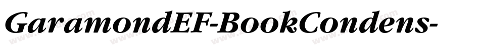 GaramondEF-BookCondens字体转换