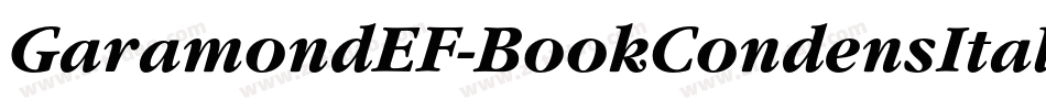 GaramondEF-BookCondensItalic字体转换