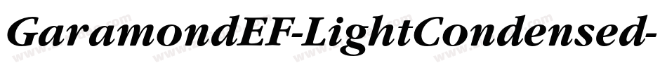 GaramondEF-LightCondensed字体转换