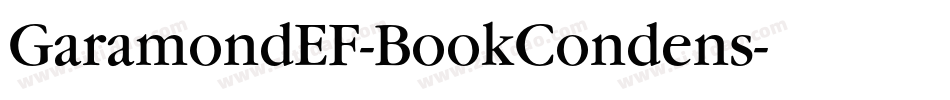 GaramondEF-BookCondens字体转换