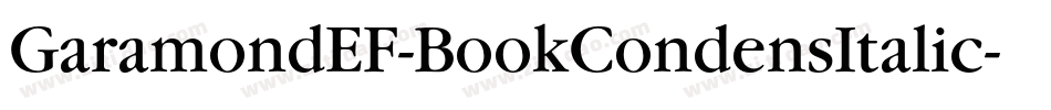 GaramondEF-BookCondensItalic字体转换