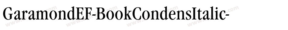 GaramondEF-BookCondensItalic字体转换