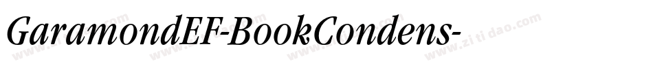 GaramondEF-BookCondens字体转换